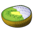 Kiwi logo.png