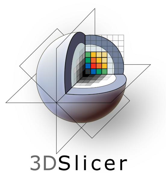 File:3DSlicer.png