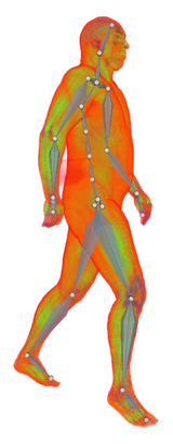 Visibleman-2mm-posed-armature.png